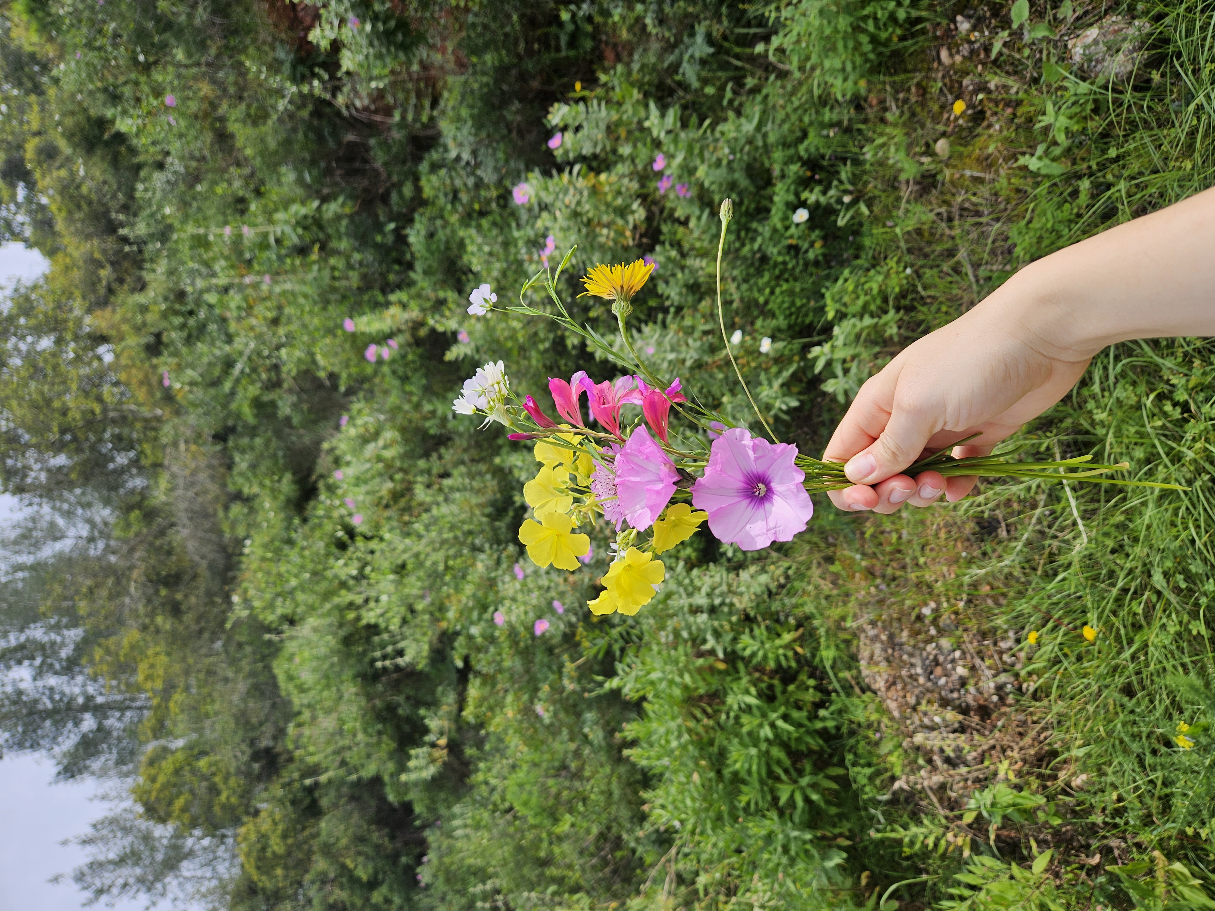 bouquet of flowers